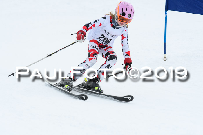 Werdenfelser Kinderskitag. mit Ziener und BZB Cup 2019