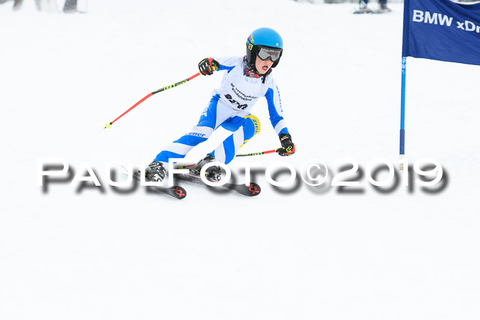 Werdenfelser Kinderskitag. mit Ziener und BZB Cup 2019