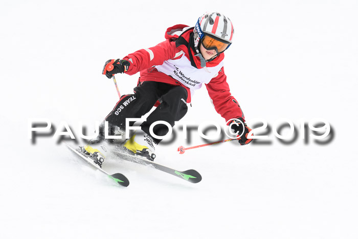 Werdenfelser Kinderskitag. mit Ziener und BZB Cup 2019