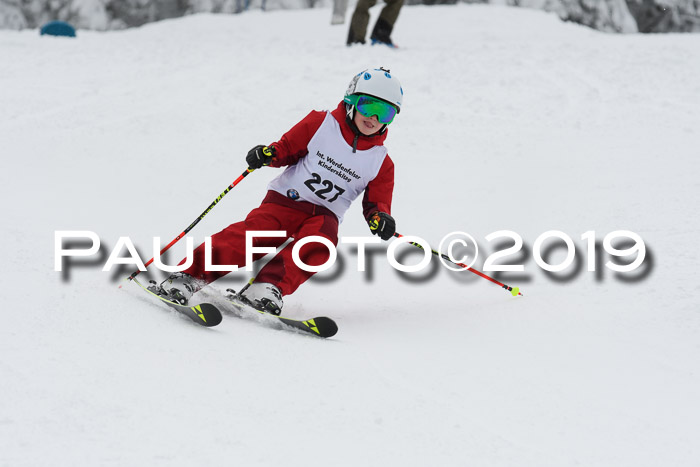 Werdenfelser Kinderskitag. mit Ziener und BZB Cup 2019