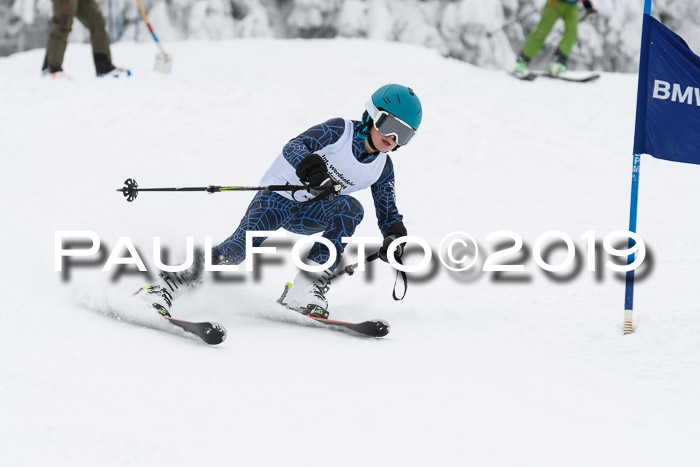 Werdenfelser Kinderskitag. mit Ziener und BZB Cup 2019