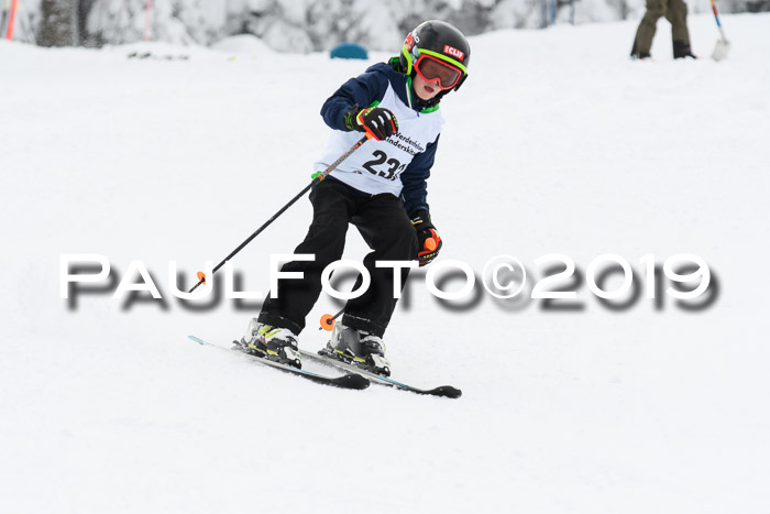 Werdenfelser Kinderskitag. mit Ziener und BZB Cup 2019