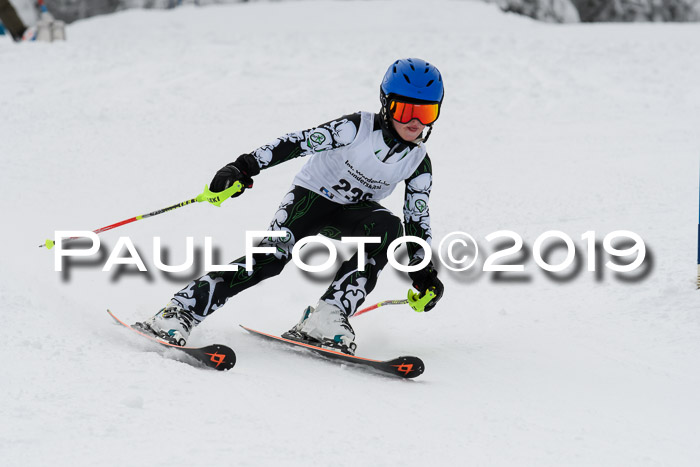 Werdenfelser Kinderskitag. mit Ziener und BZB Cup 2019