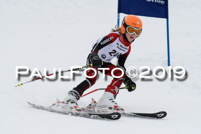 Werdenfelser Kinderskitag. mit Ziener und BZB Cup 2019