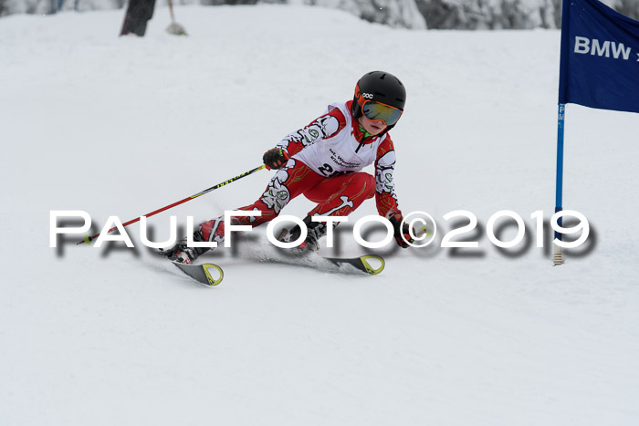 Werdenfelser Kinderskitag. mit Ziener und BZB Cup 2019