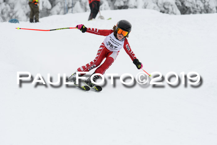 Werdenfelser Kinderskitag. mit Ziener und BZB Cup 2019