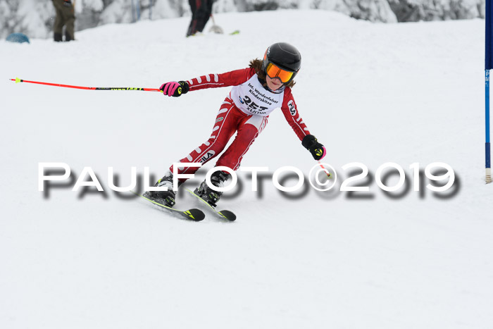 Werdenfelser Kinderskitag. mit Ziener und BZB Cup 2019