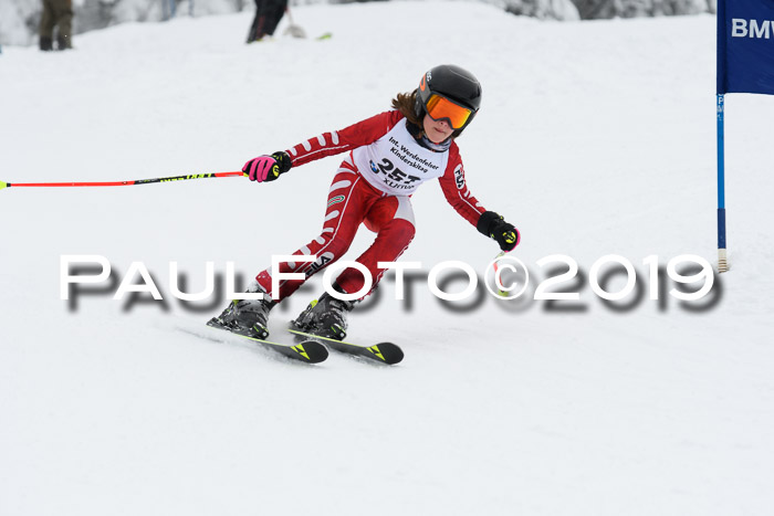 Werdenfelser Kinderskitag. mit Ziener und BZB Cup 2019