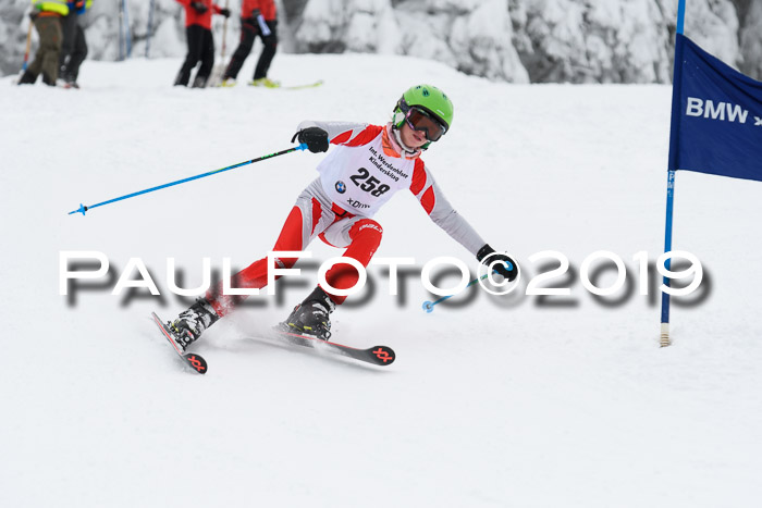 Werdenfelser Kinderskitag. mit Ziener und BZB Cup 2019