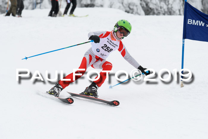 Werdenfelser Kinderskitag. mit Ziener und BZB Cup 2019