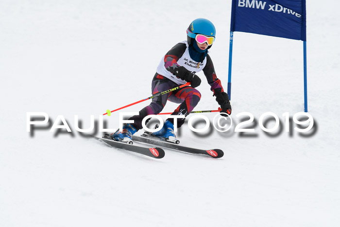 Werdenfelser Kinderskitag. mit Ziener und BZB Cup 2019