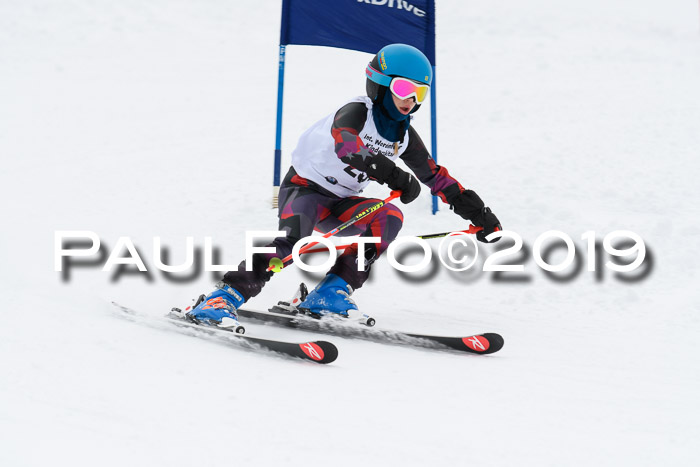 Werdenfelser Kinderskitag. mit Ziener und BZB Cup 2019