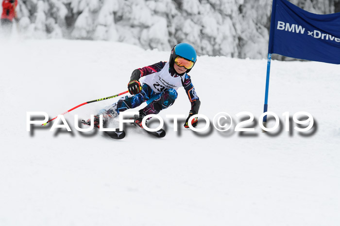 Werdenfelser Kinderskitag. mit Ziener und BZB Cup 2019