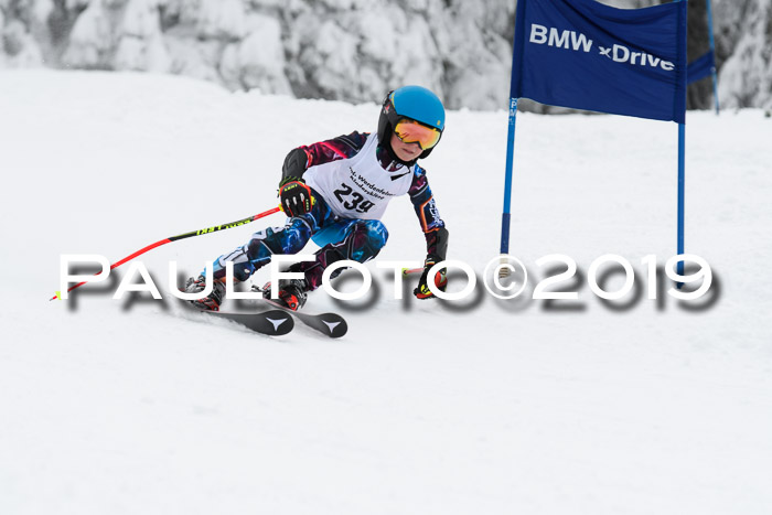 Werdenfelser Kinderskitag. mit Ziener und BZB Cup 2019