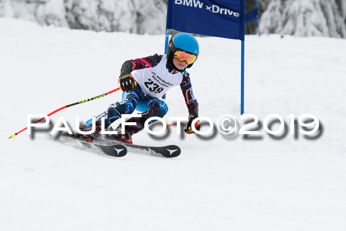 Werdenfelser Kinderskitag. mit Ziener und BZB Cup 2019