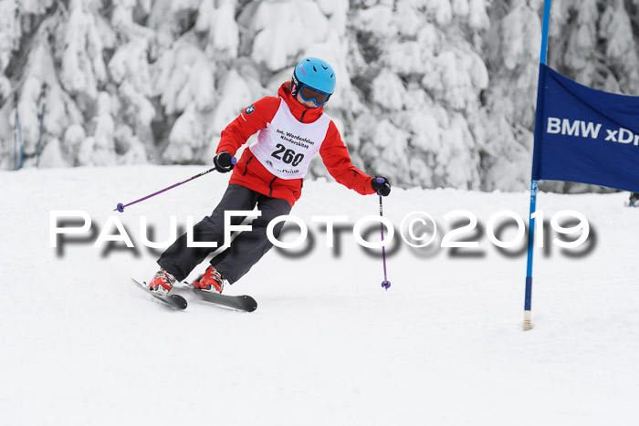 Werdenfelser Kinderskitag. mit Ziener und BZB Cup 2019