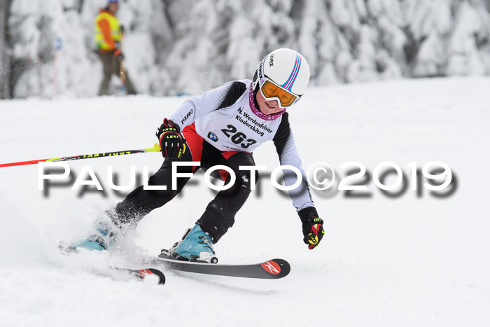 Werdenfelser Kinderskitag. mit Ziener und BZB Cup 2019