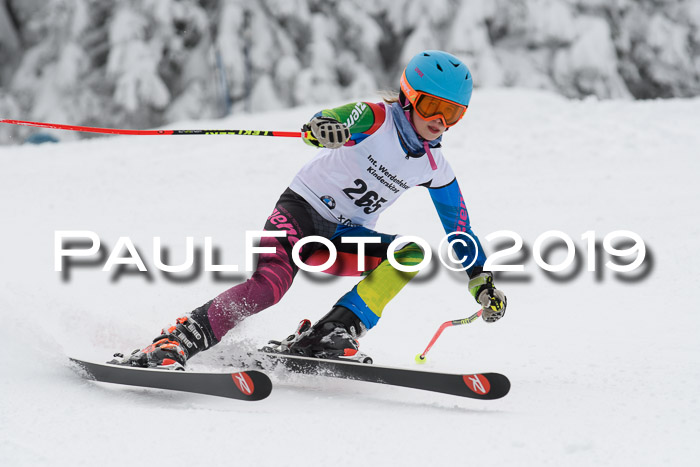 Werdenfelser Kinderskitag. mit Ziener und BZB Cup 2019