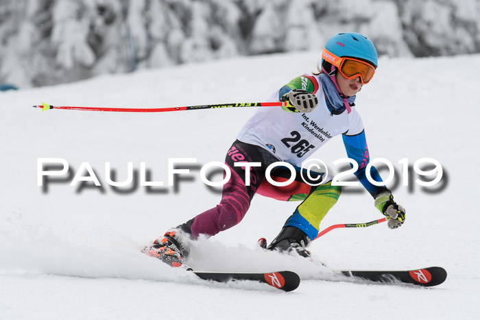 Werdenfelser Kinderskitag. mit Ziener und BZB Cup 2019