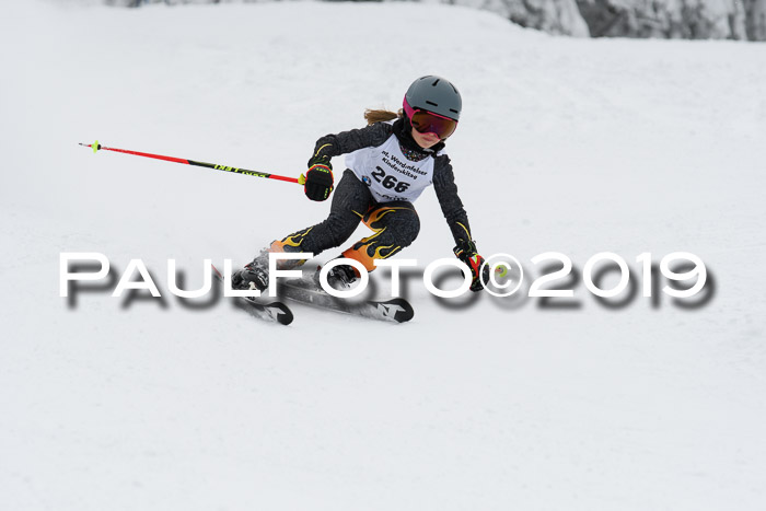 Werdenfelser Kinderskitag. mit Ziener und BZB Cup 2019