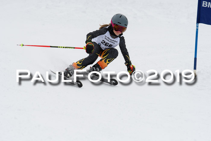 Werdenfelser Kinderskitag. mit Ziener und BZB Cup 2019