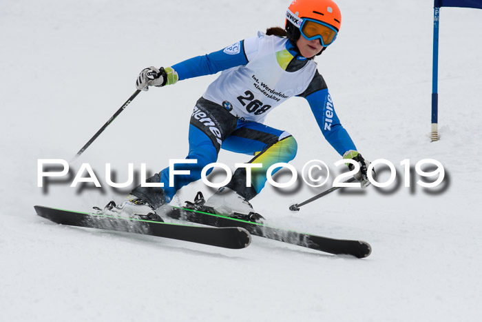 Werdenfelser Kinderskitag. mit Ziener und BZB Cup 2019