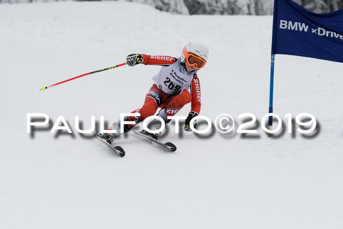 Werdenfelser Kinderskitag. mit Ziener und BZB Cup 2019