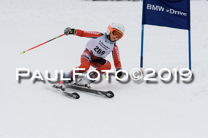 Werdenfelser Kinderskitag. mit Ziener und BZB Cup 2019