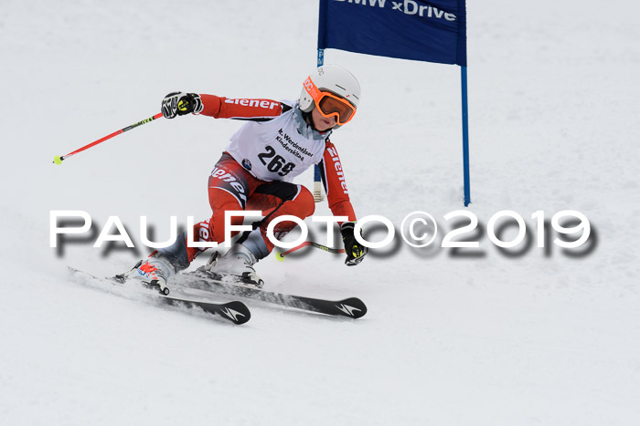 Werdenfelser Kinderskitag. mit Ziener und BZB Cup 2019