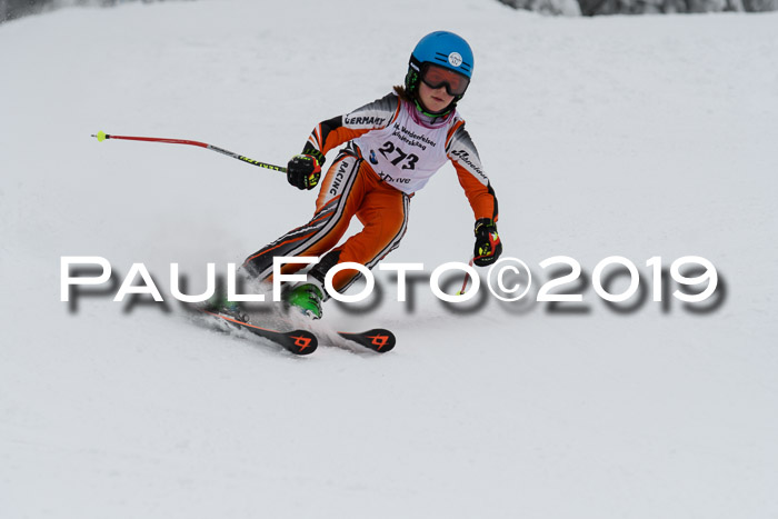 Werdenfelser Kinderskitag. mit Ziener und BZB Cup 2019