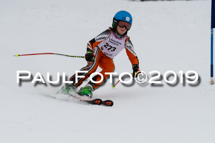 Werdenfelser Kinderskitag. mit Ziener und BZB Cup 2019