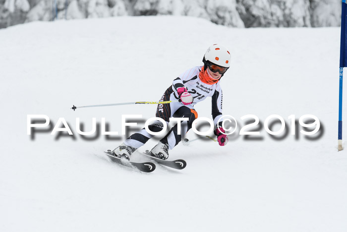 Werdenfelser Kinderskitag. mit Ziener und BZB Cup 2019