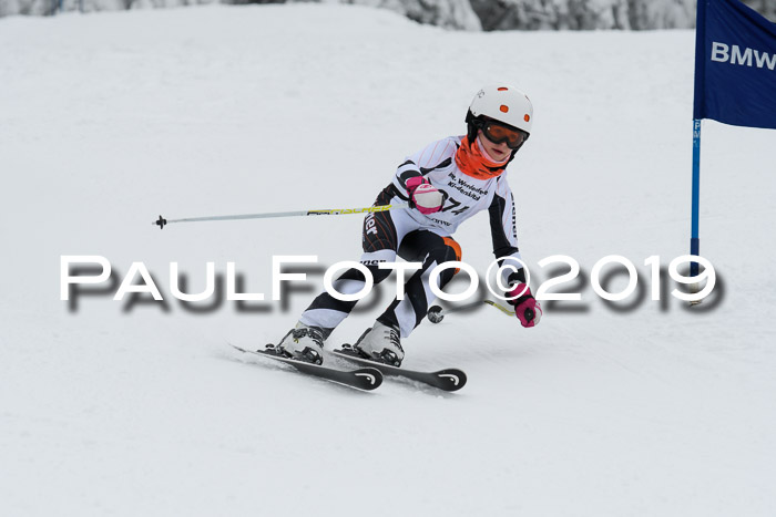 Werdenfelser Kinderskitag. mit Ziener und BZB Cup 2019