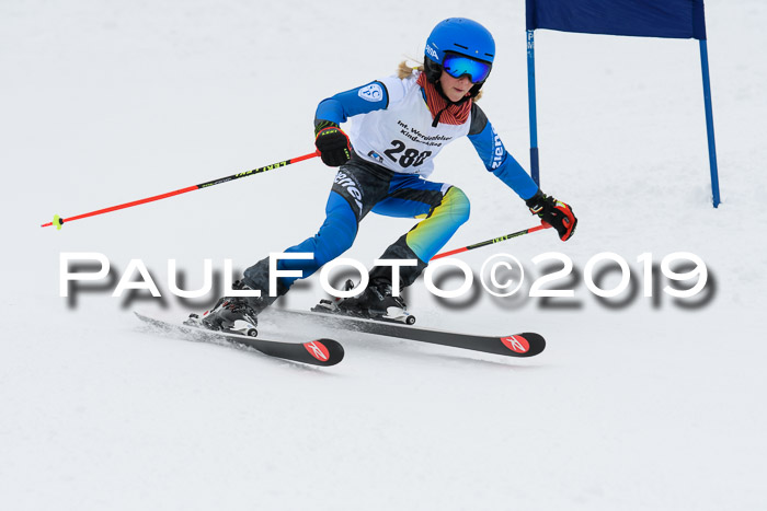 Werdenfelser Kinderskitag. mit Ziener und BZB Cup 2019