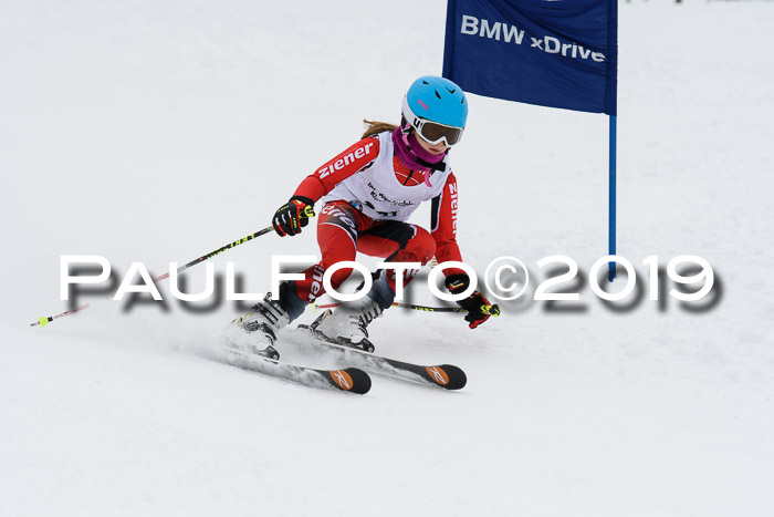 Werdenfelser Kinderskitag. mit Ziener und BZB Cup 2019