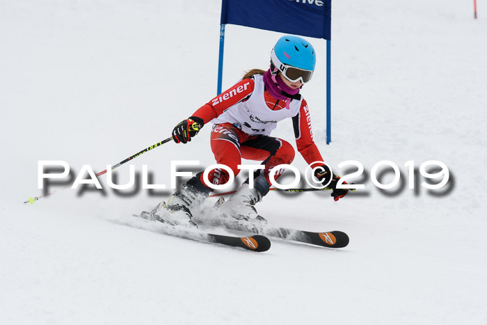 Werdenfelser Kinderskitag. mit Ziener und BZB Cup 2019