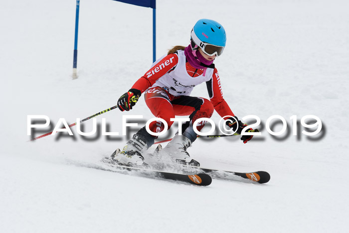 Werdenfelser Kinderskitag. mit Ziener und BZB Cup 2019