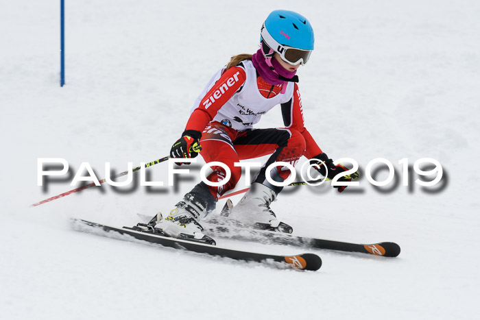 Werdenfelser Kinderskitag. mit Ziener und BZB Cup 2019