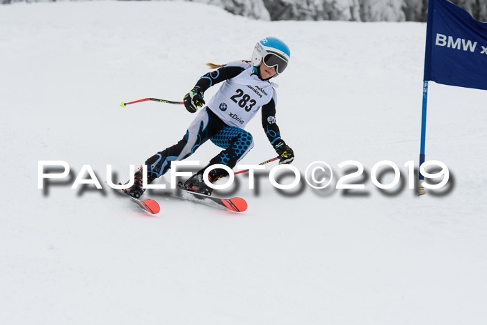 Werdenfelser Kinderskitag. mit Ziener und BZB Cup 2019