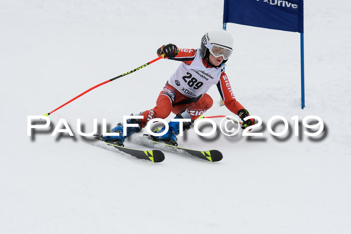 Werdenfelser Kinderskitag. mit Ziener und BZB Cup 2019