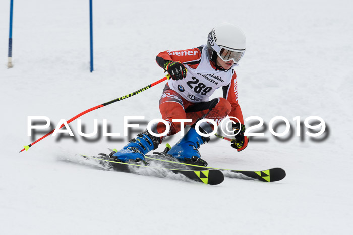 Werdenfelser Kinderskitag. mit Ziener und BZB Cup 2019