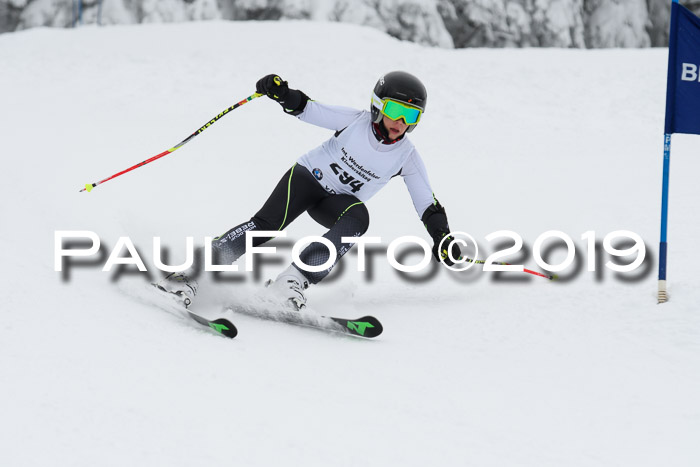 Werdenfelser Kinderskitag. mit Ziener und BZB Cup 2019