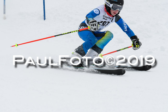 Werdenfelser Kinderskitag. mit Ziener und BZB Cup 2019