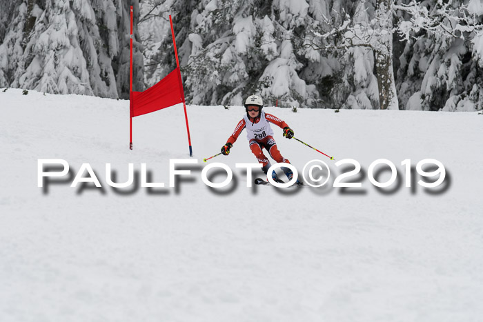 Werdenfelser Kinderskitag. mit Ziener und BZB Cup 2019