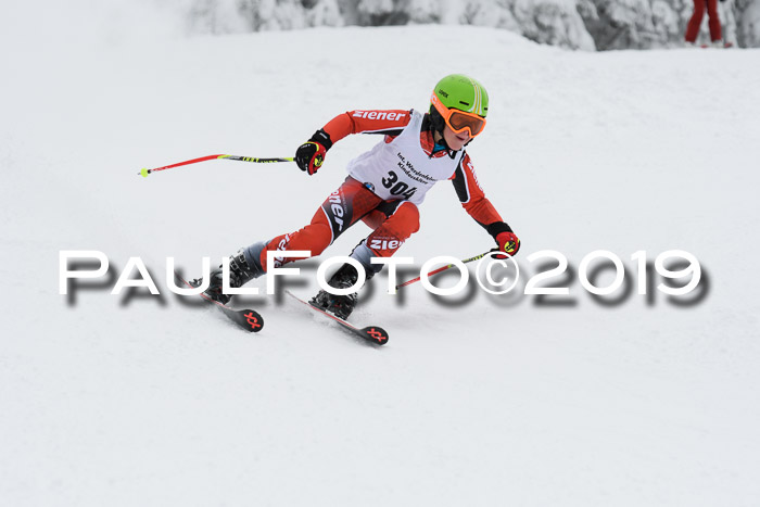 Werdenfelser Kinderskitag. mit Ziener und BZB Cup 2019