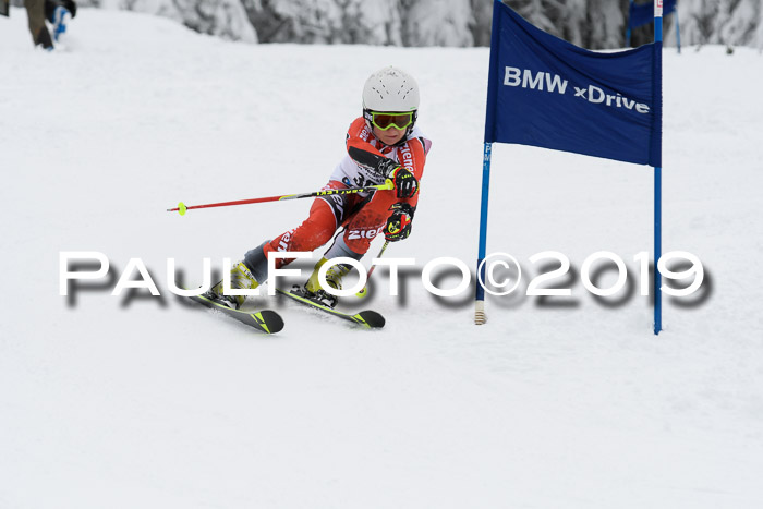 Werdenfelser Kinderskitag. mit Ziener und BZB Cup 2019