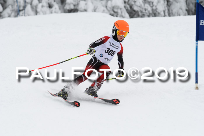 Werdenfelser Kinderskitag. mit Ziener und BZB Cup 2019