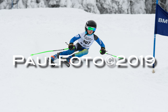 Werdenfelser Kinderskitag. mit Ziener und BZB Cup 2019