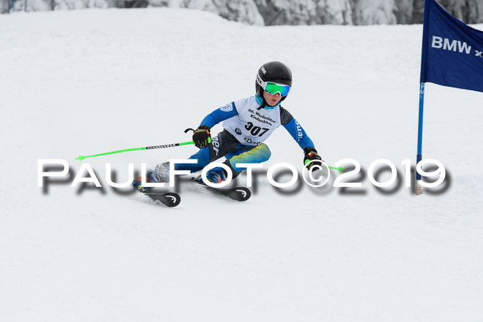 Werdenfelser Kinderskitag. mit Ziener und BZB Cup 2019