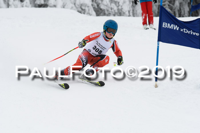 Werdenfelser Kinderskitag. mit Ziener und BZB Cup 2019